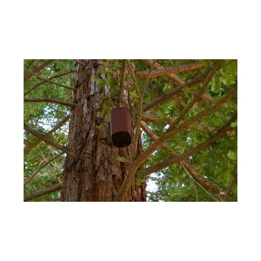 James Loudspeaker AT62-70 – Ansicht 5